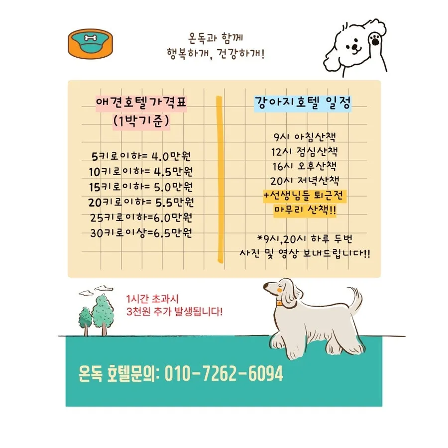 오산 애견호텔 온독, 천연잔디 운동장 호텔링 후기 — 사진 16