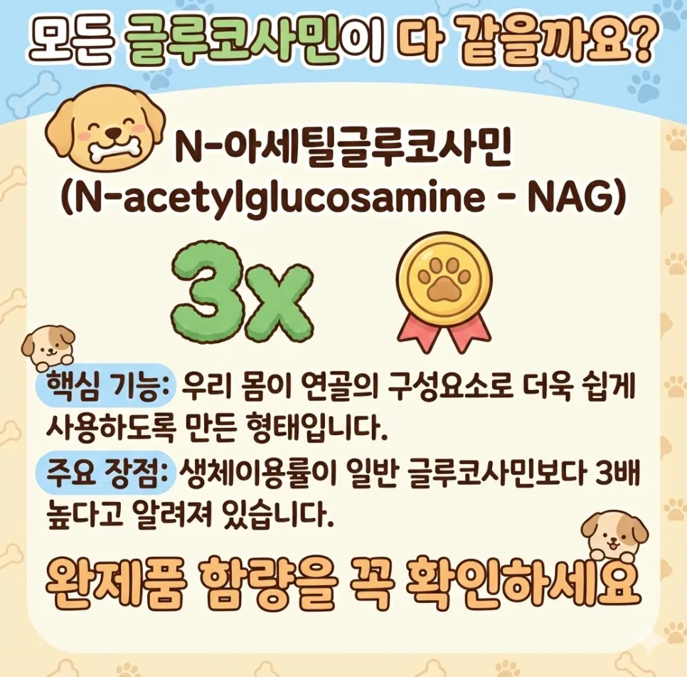 푸들 슬개골 탈구 수술 비용과 회복 후기 — 사진 7