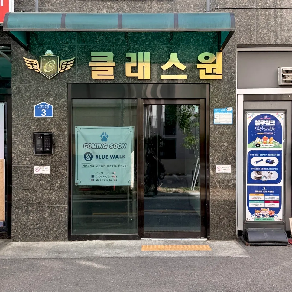강아지 문제행동 교정, 2시간 만에 달라진 산책 후기