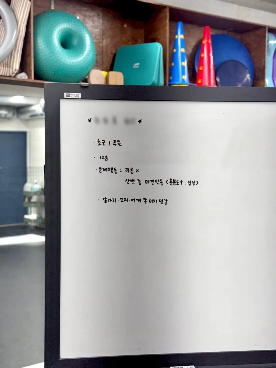 강아지 문제행동 교정, 2시간 만에 달라진 산책 후기 — 사진 4