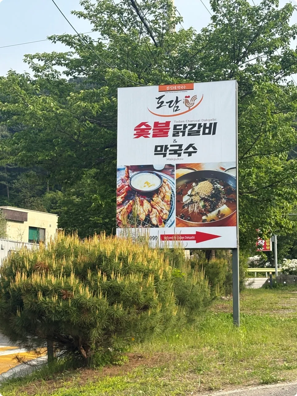 가평 애견동반식당, 도담숯불닭갈비 반려견과 편안한 식사 — 사진 5