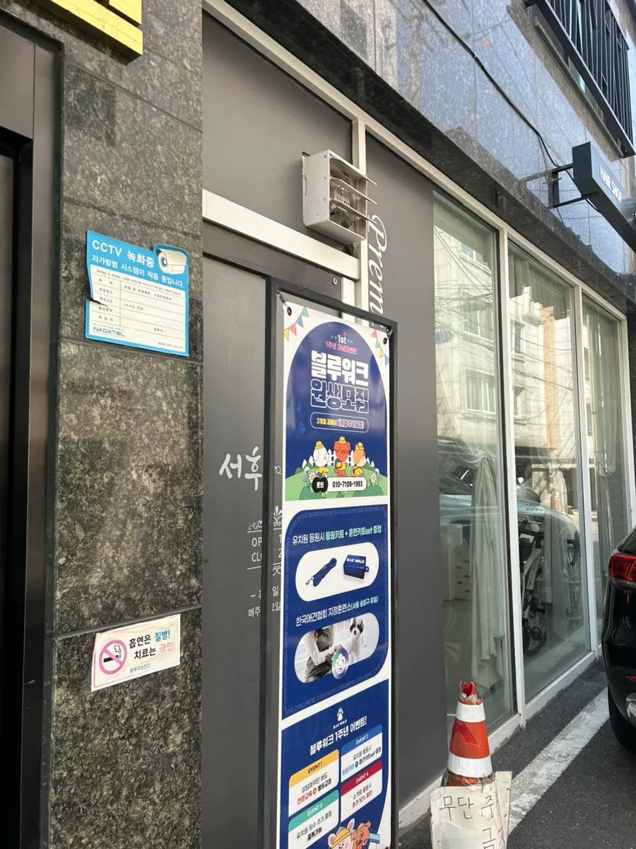 송파 말티즈 행동교정 훈련: 1:1 프라이빗 교육 후기 — 사진 3
