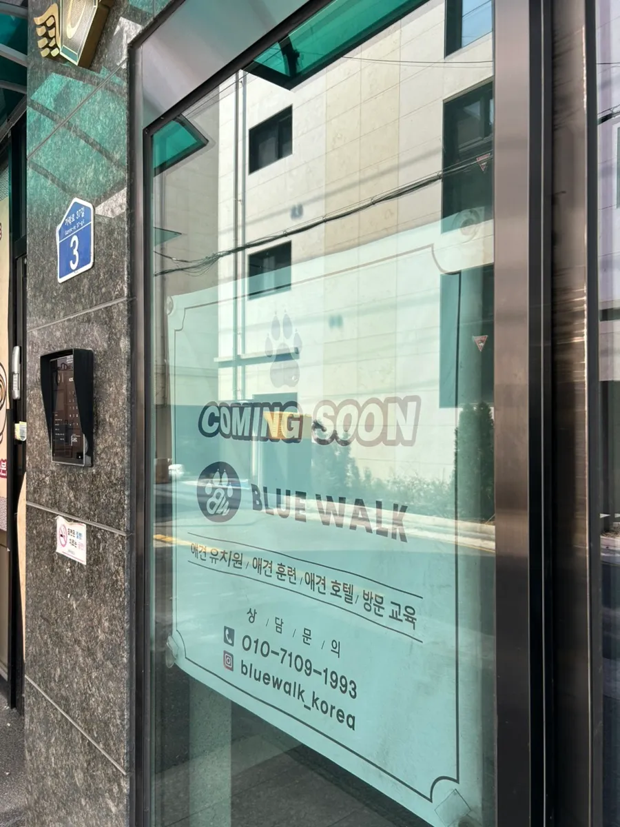 송파 말티즈 행동교정 훈련: 1:1 프라이빗 교육 후기 — 사진 5
