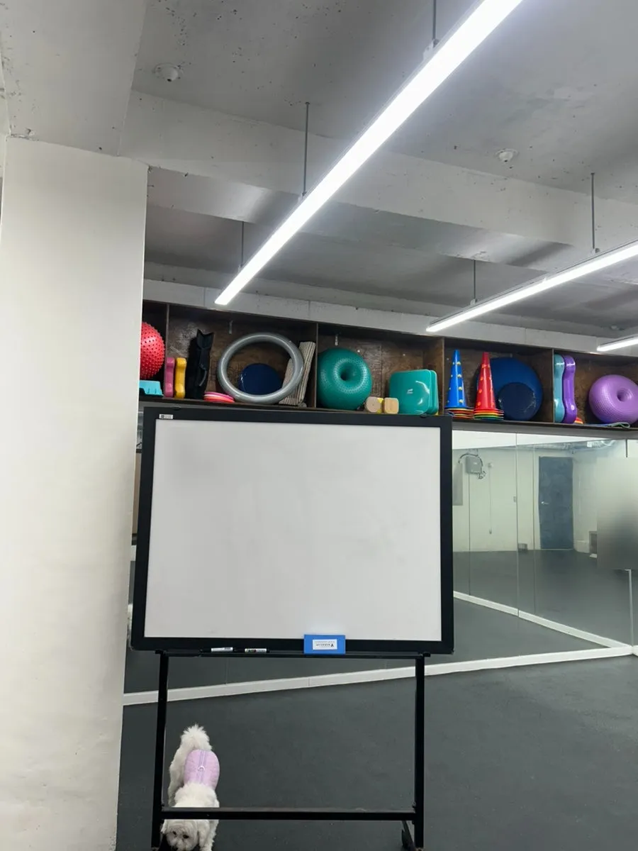 송파 말티즈 행동교정 훈련: 1:1 프라이빗 교육 후기 — 사진 8