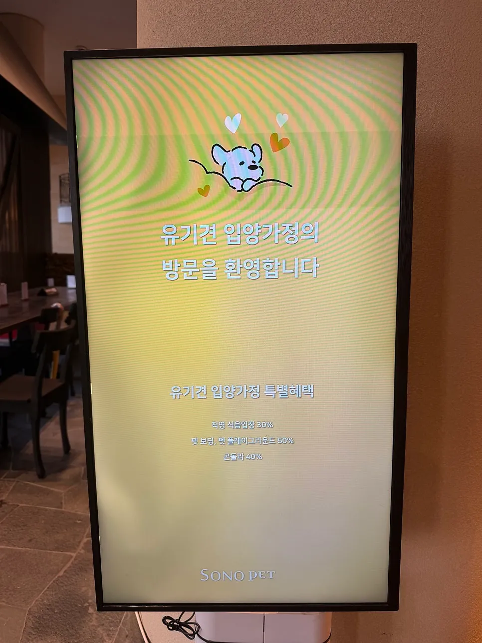 홍천 소노펫 호텔, 유기견 입양 가족 혜택 및 곤돌라 후기 — 사진 14