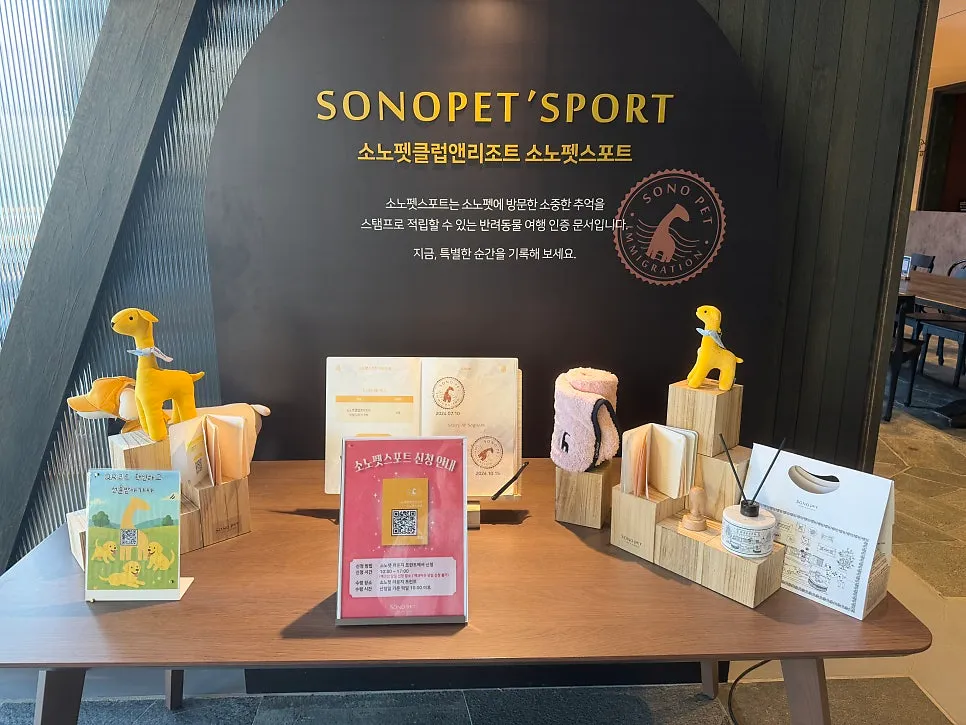 홍천 소노펫 호텔, 유기견 입양 가족 혜택 및 곤돌라 후기 — 사진 16