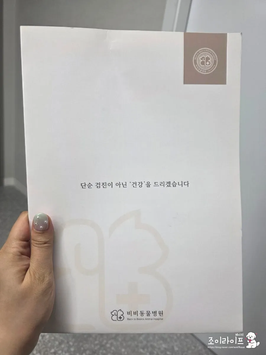 강아지 스케일링, 비비동물병원에서 치과 치료받은 후기 — 사진 2