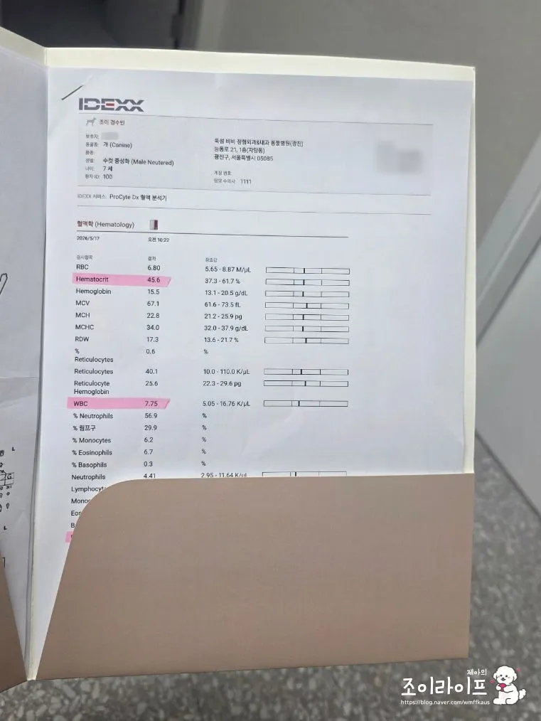 강아지 스케일링, 비비동물병원에서 치과 치료받은 후기 — 사진 3