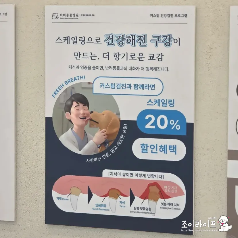 강아지 스케일링, 비비동물병원에서 치과 치료받은 후기 — 사진 5