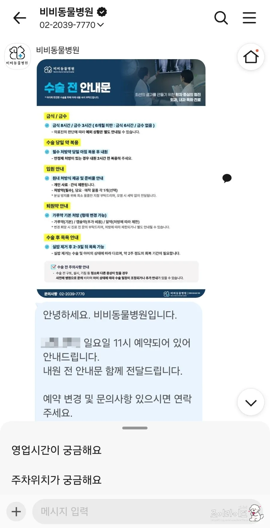 강아지 스케일링, 비비동물병원에서 치과 치료받은 후기 — 사진 6