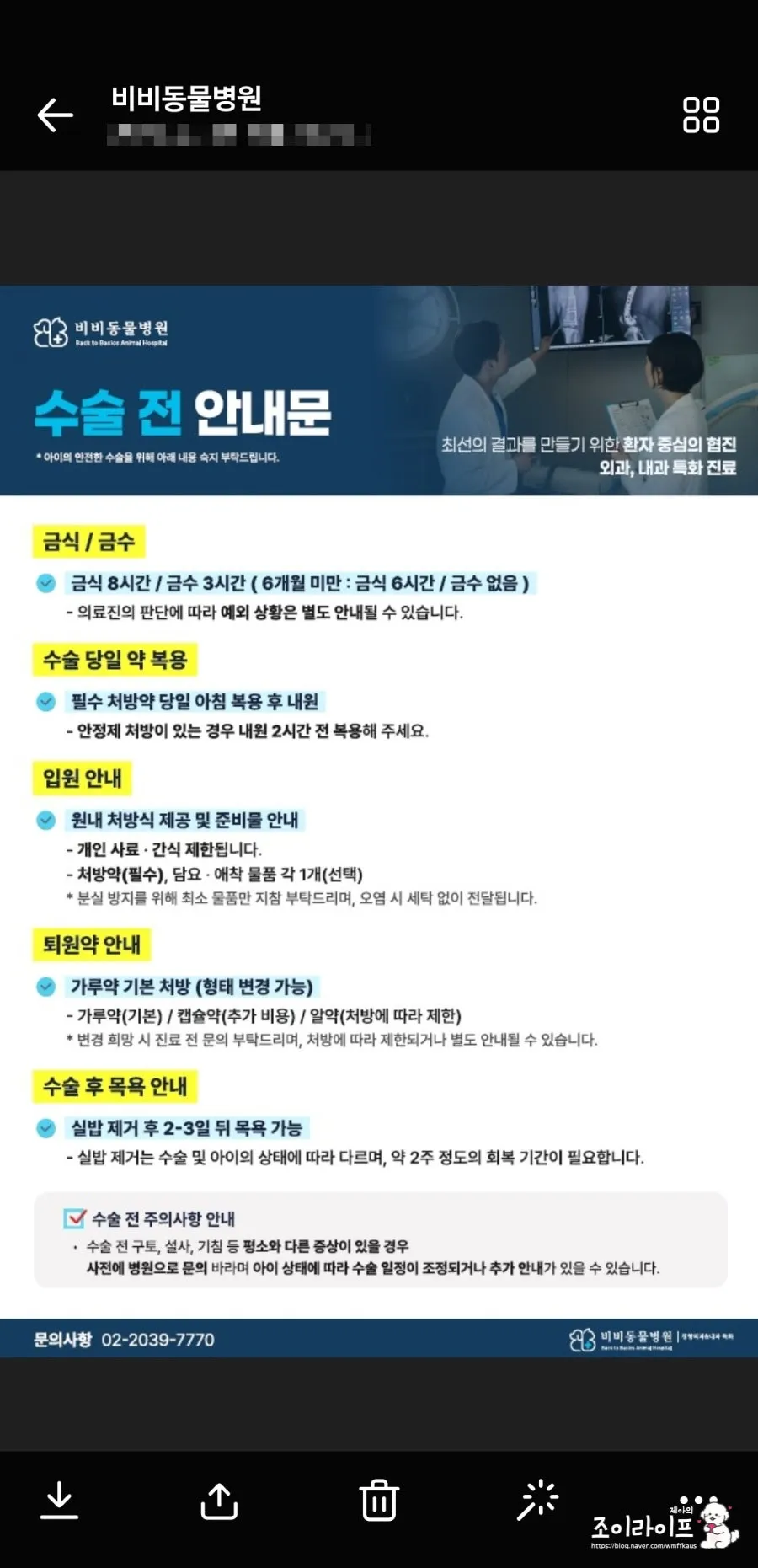 강아지 스케일링, 비비동물병원에서 치과 치료받은 후기 — 사진 7