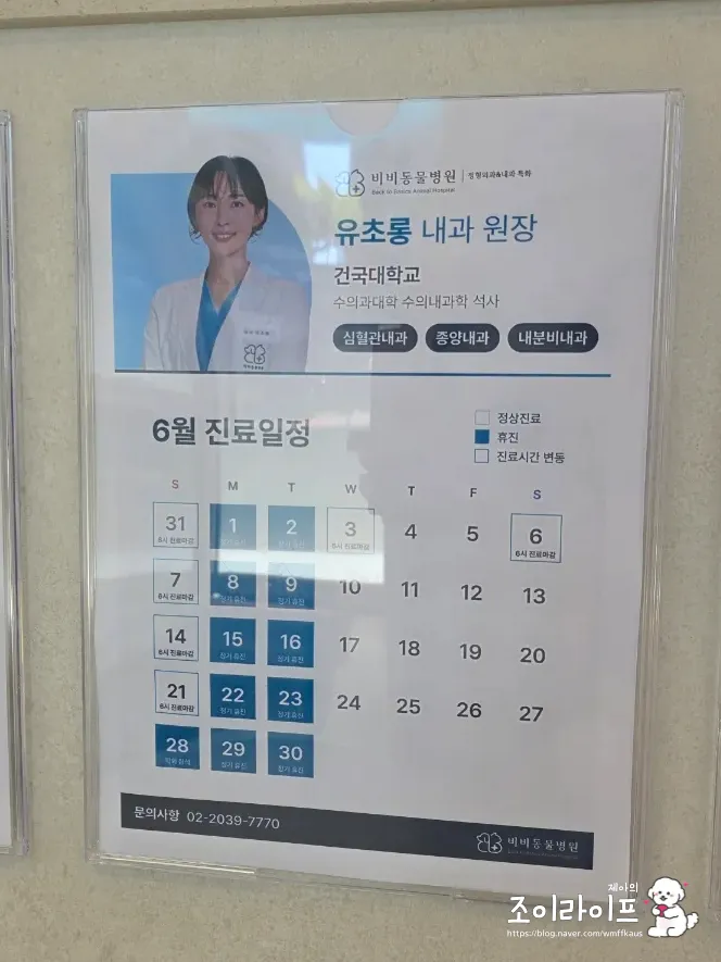강아지 스케일링, 비비동물병원에서 치과 치료받은 후기 — 사진 12