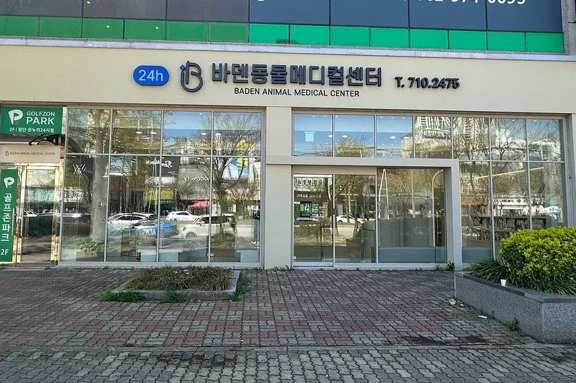 바덴동물메디컬센터 강아지 건강검진 비용 및 후기 — 사진 2