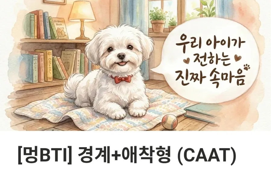 진돗개 문제행동, 멍BTI로 성향 분석하고 훈련 방향 잡기 — 사진 5