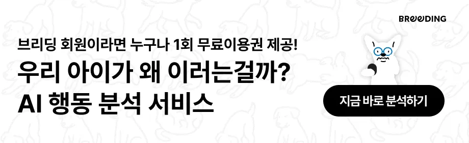 말티푸 믹스견 훈련 수업 후기: 산책 짖음 분리불안 개선 — 사진 7