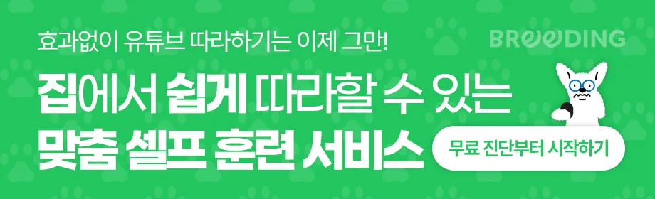 말티푸 믹스견 훈련 수업 후기: 산책 짖음 분리불안 개선 — 사진 8