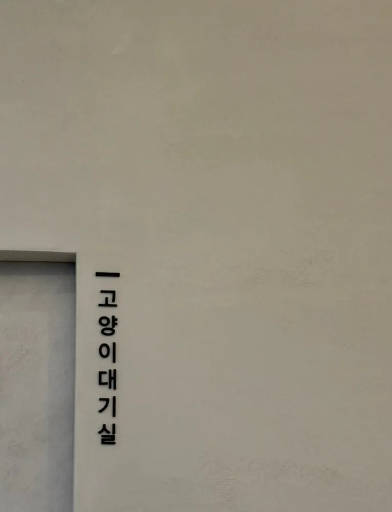 부평 강아지 스케일링·발치 비용 및 후기 (24시 산곡나무) — 사진 2
