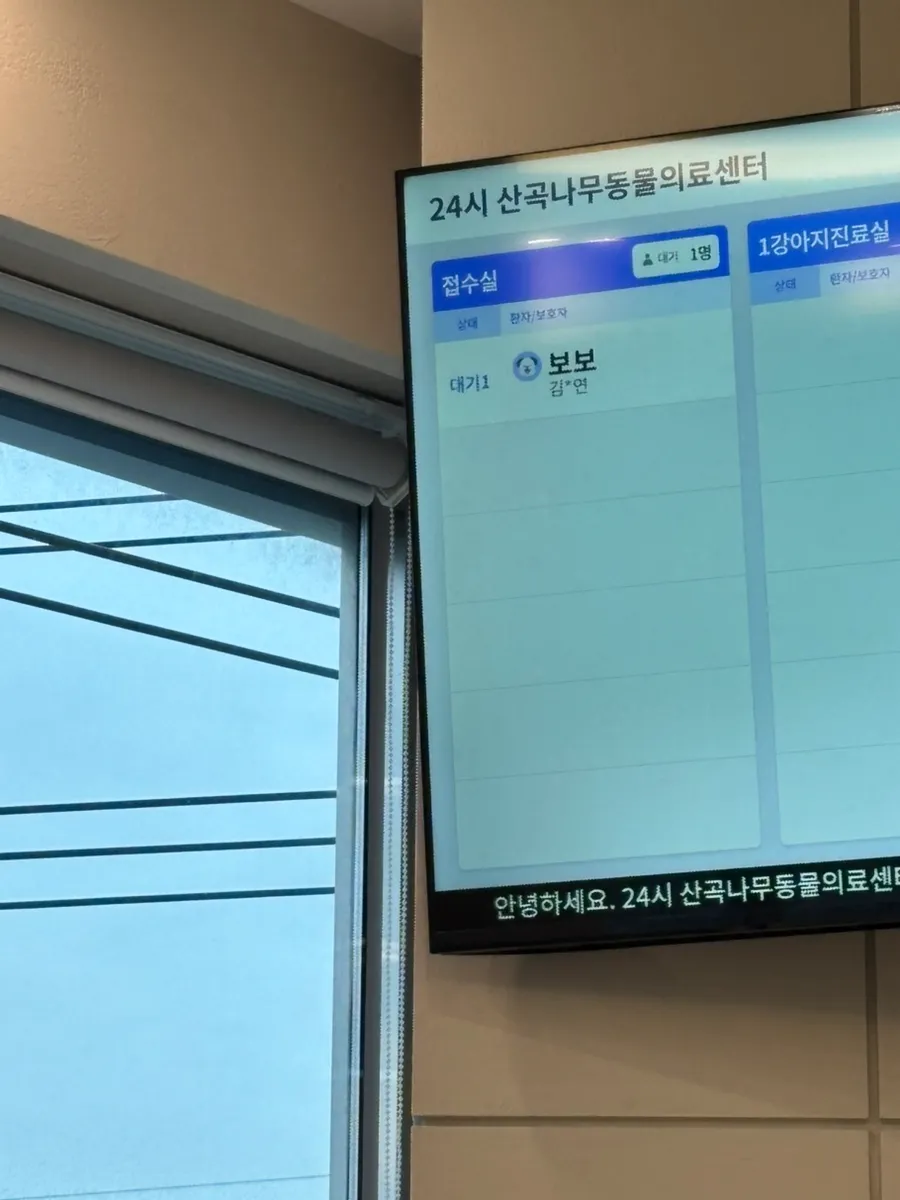 부평 강아지 스케일링·발치 비용 및 후기 (24시 산곡나무) — 사진 4