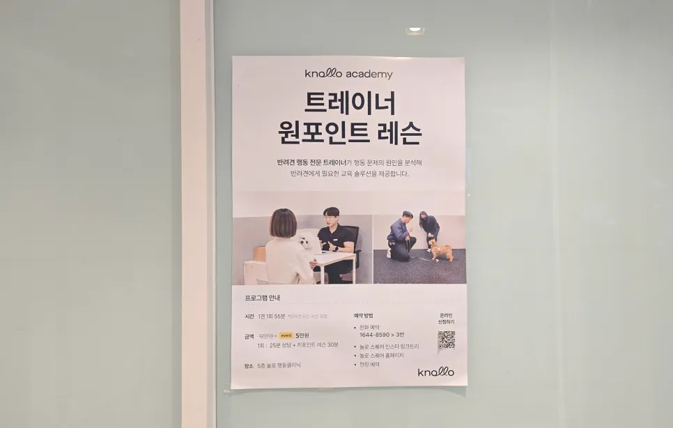 강아지 짖음 훈련: 놀로스퀘어 원포인트 레슨 후기 — 사진 4