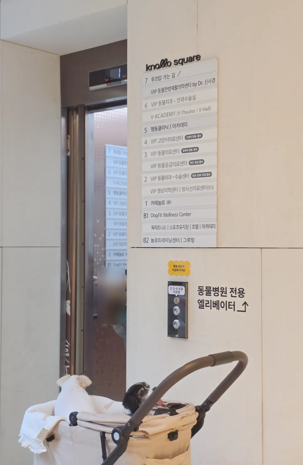강아지 짖음 훈련: 놀로스퀘어 원포인트 레슨 후기 — 사진 5