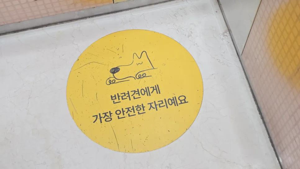 강아지 짖음 훈련: 놀로스퀘어 원포인트 레슨 후기 — 사진 6