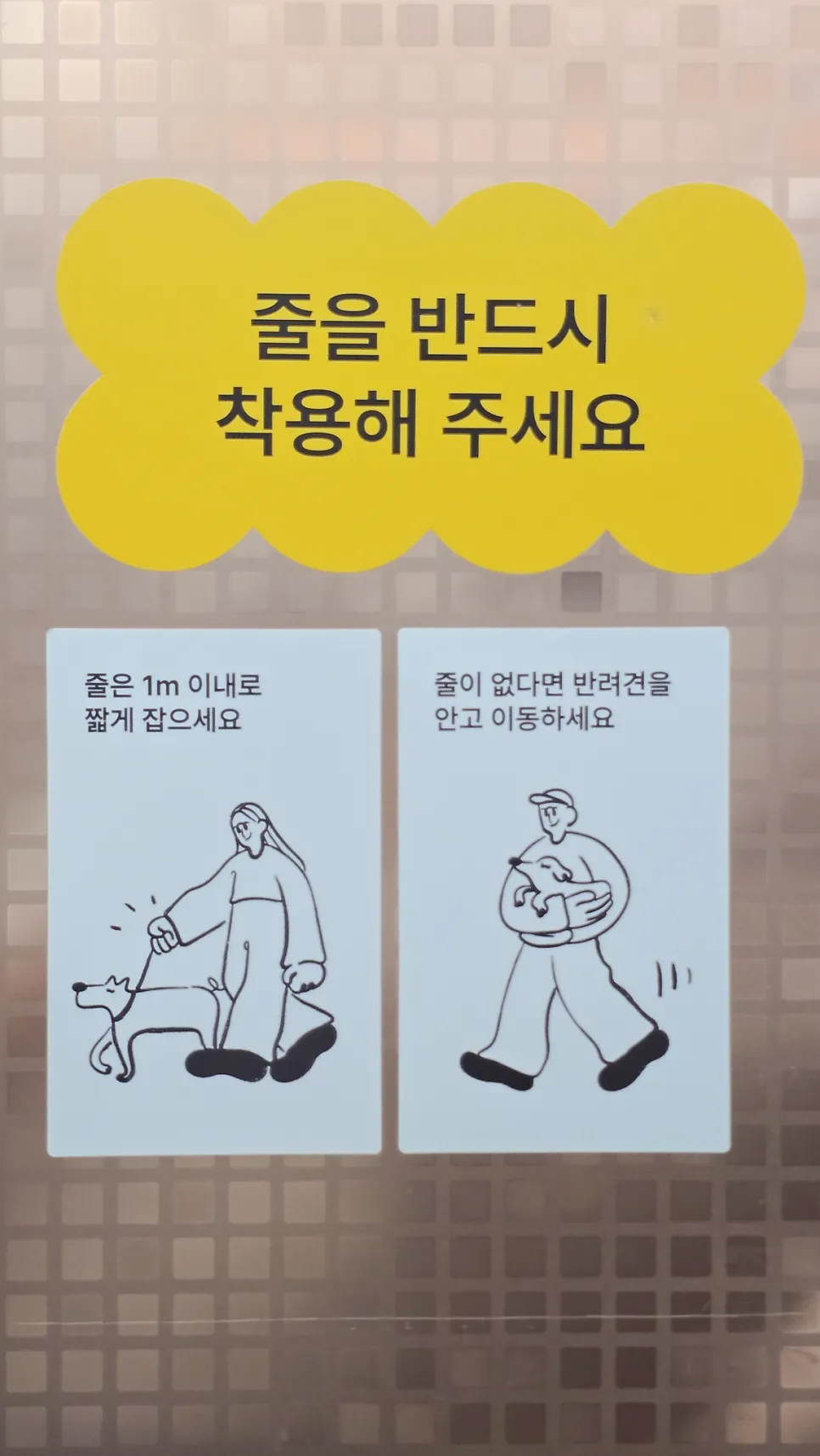 강아지 짖음 훈련: 놀로스퀘어 원포인트 레슨 후기 — 사진 7