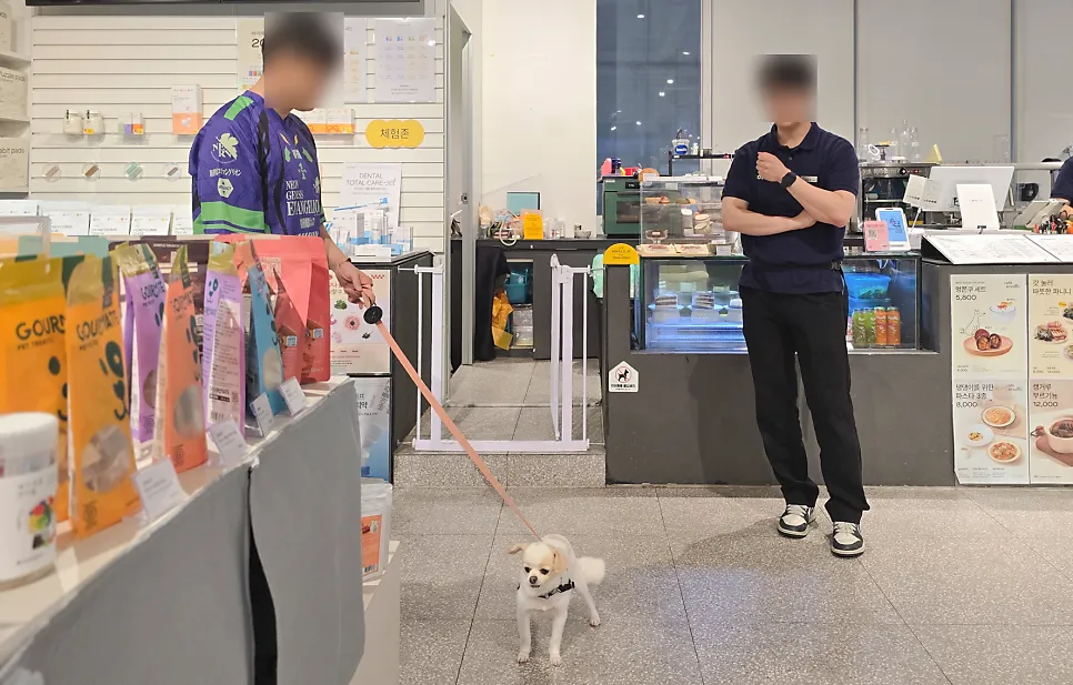강아지 짖음 훈련: 놀로스퀘어 원포인트 레슨 후기 — 사진 17
