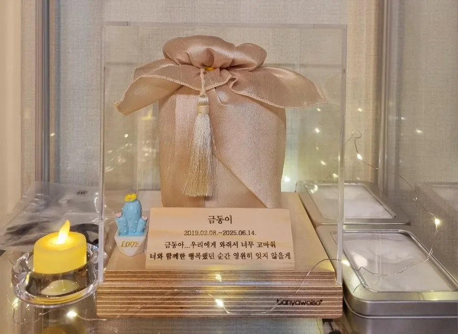 김포 펫포레스트 고양이 장례, 편안한 마지막 배웅 — 사진 17