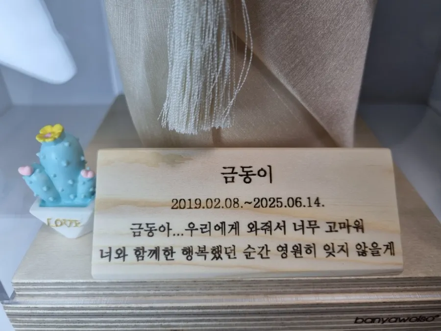 김포 펫포레스트 고양이 장례, 편안한 마지막 배웅 — 사진 18
