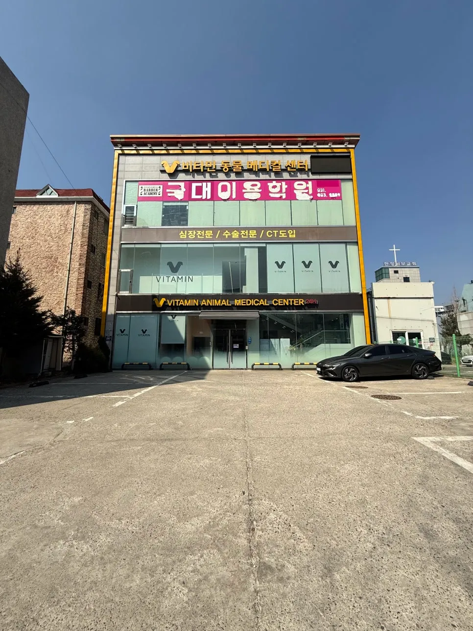 안양 고양이 심장병 HCM 진단 및 치료 후기