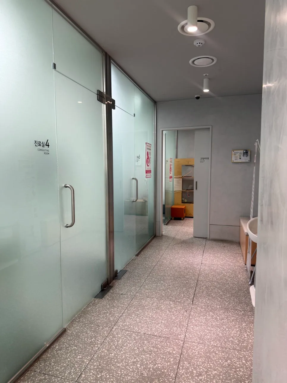 안양 고양이 심장병 HCM 진단 및 치료 후기 — 사진 5
