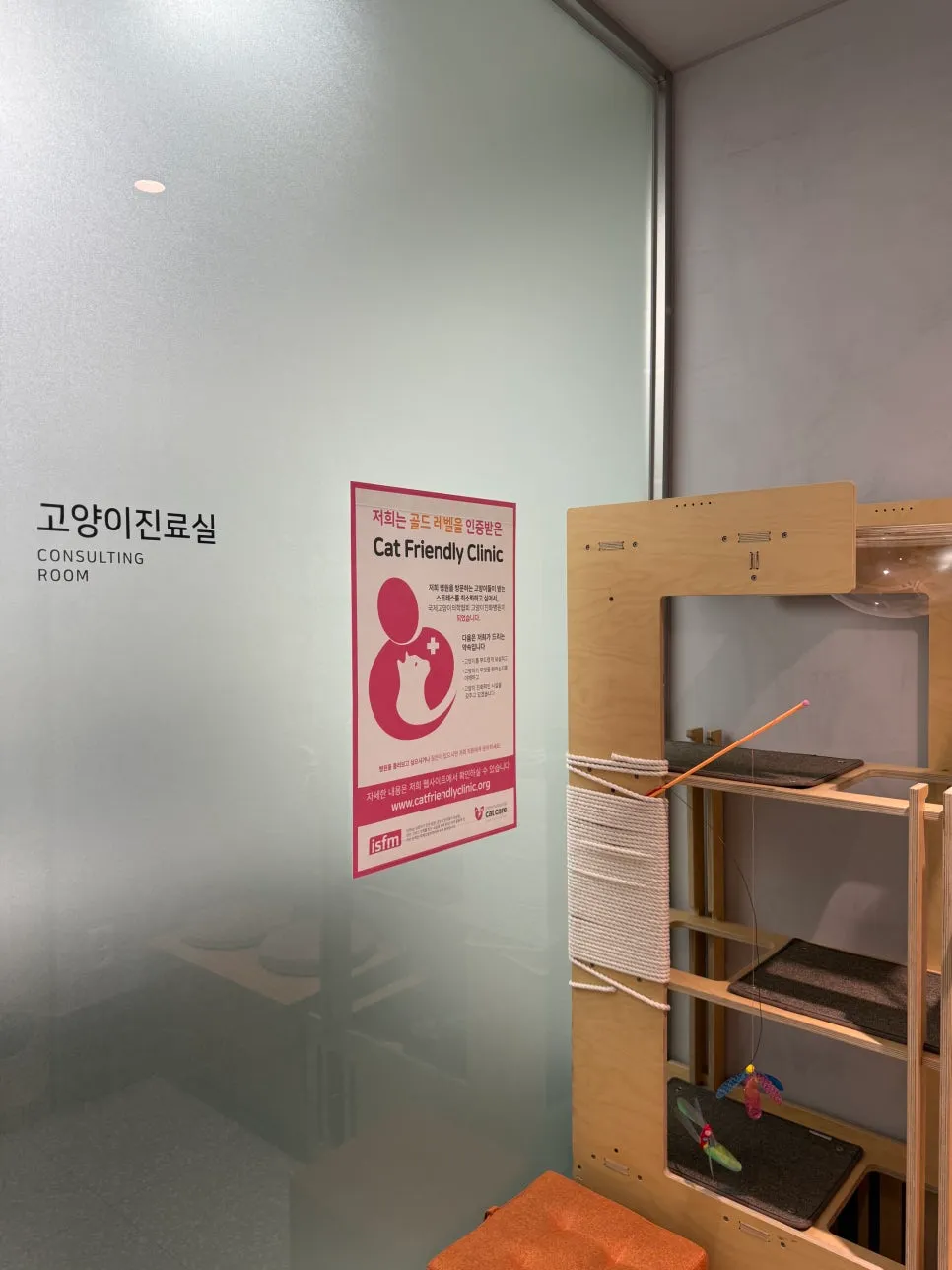 안양 고양이 심장병 HCM 진단 및 치료 후기 — 사진 7