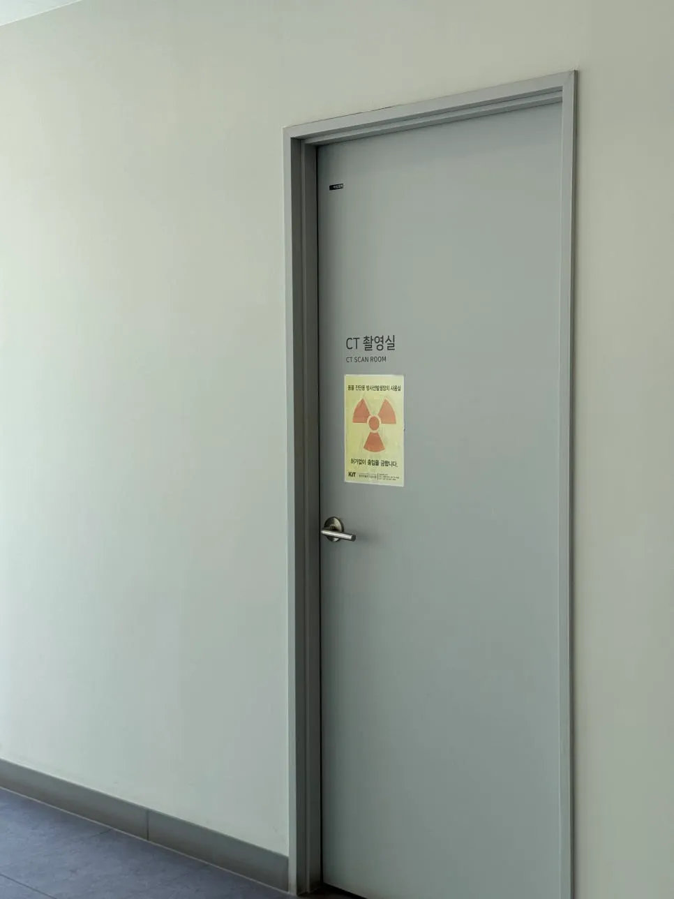 안양 고양이 심장병 HCM 진단 및 치료 후기 — 사진 11