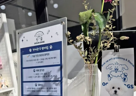 전주애견호텔 오션독스, 소규모 케어로 안심 맡기기 — 사진 3