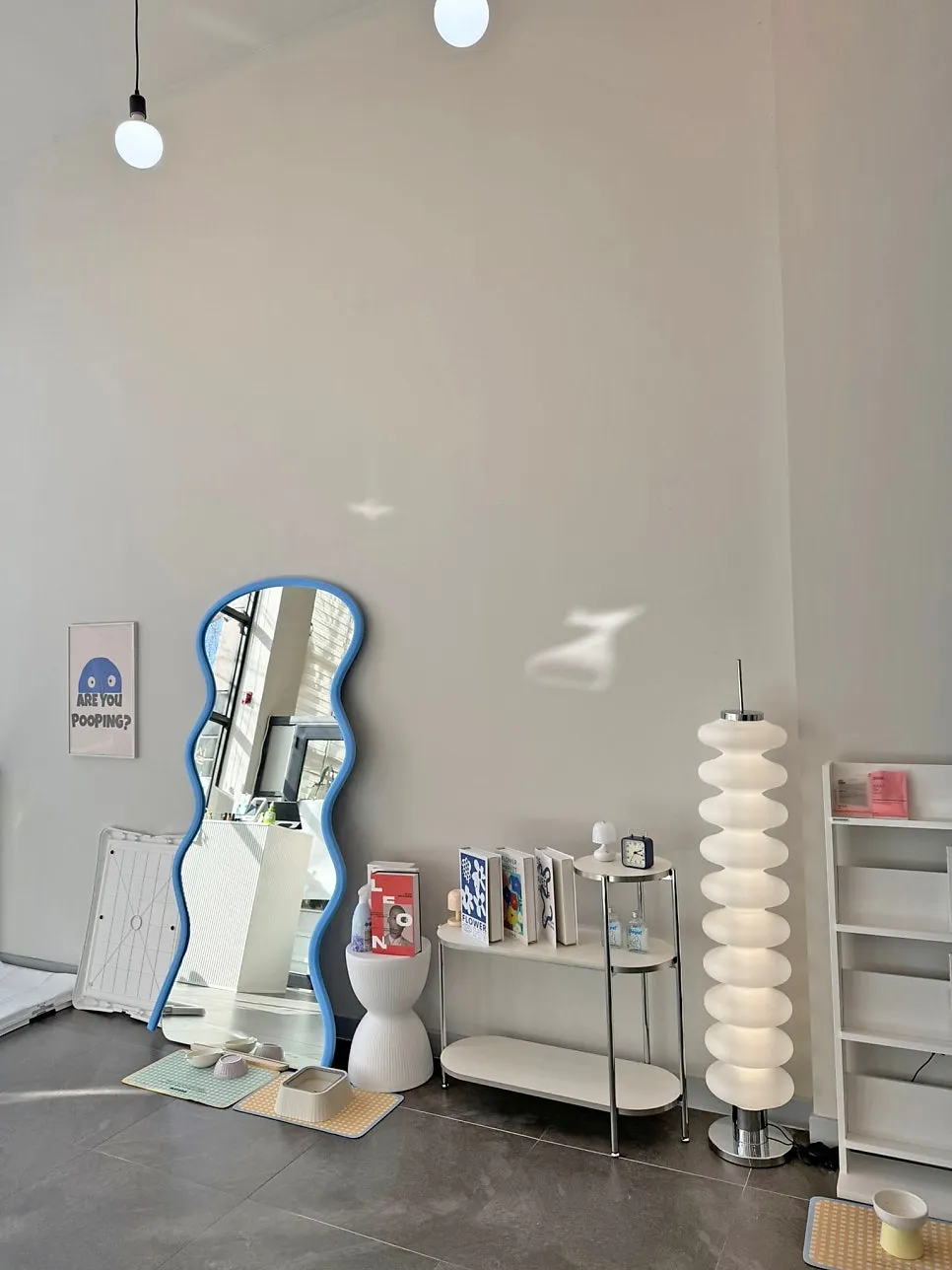 전주애견호텔 오션독스, 소규모 케어로 안심 맡기기 — 사진 8