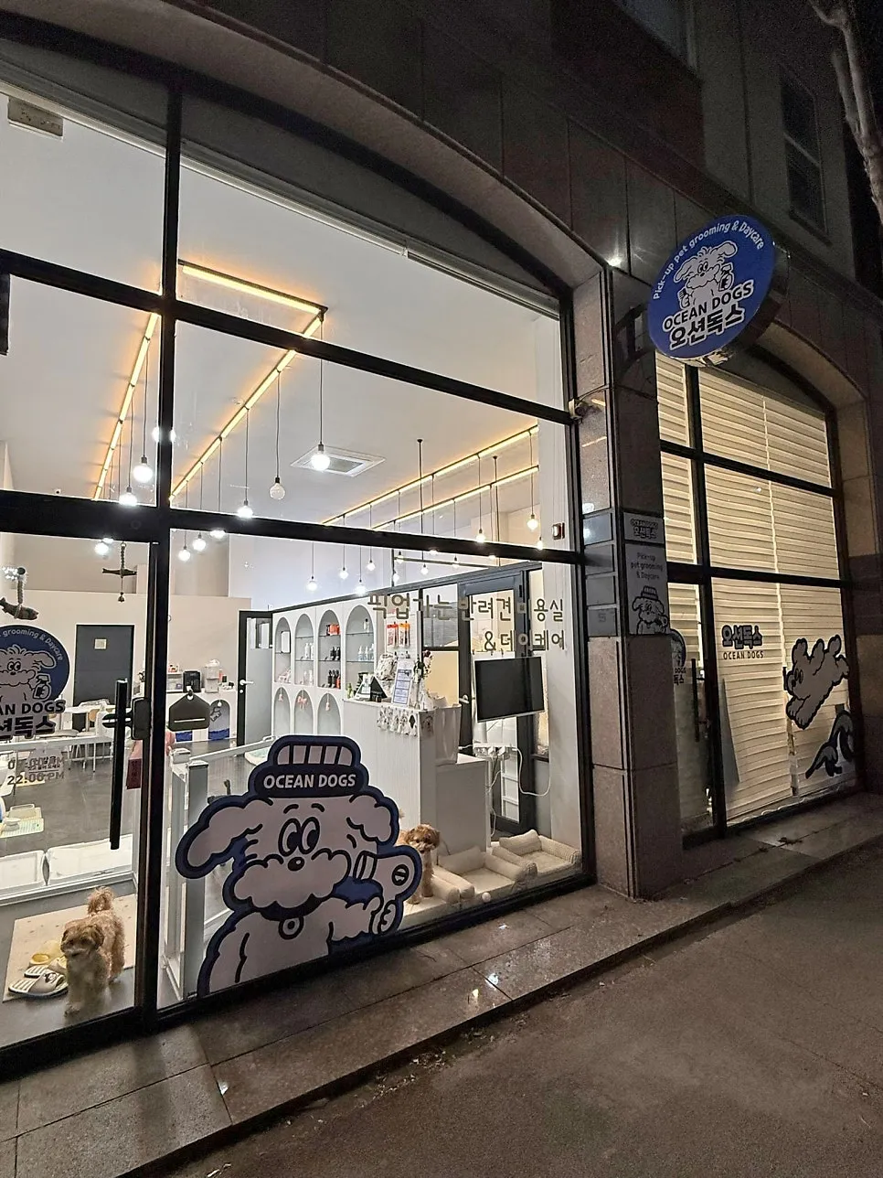 전주애견호텔 오션독스, 소규모 케어로 안심 맡기기 — 사진 10