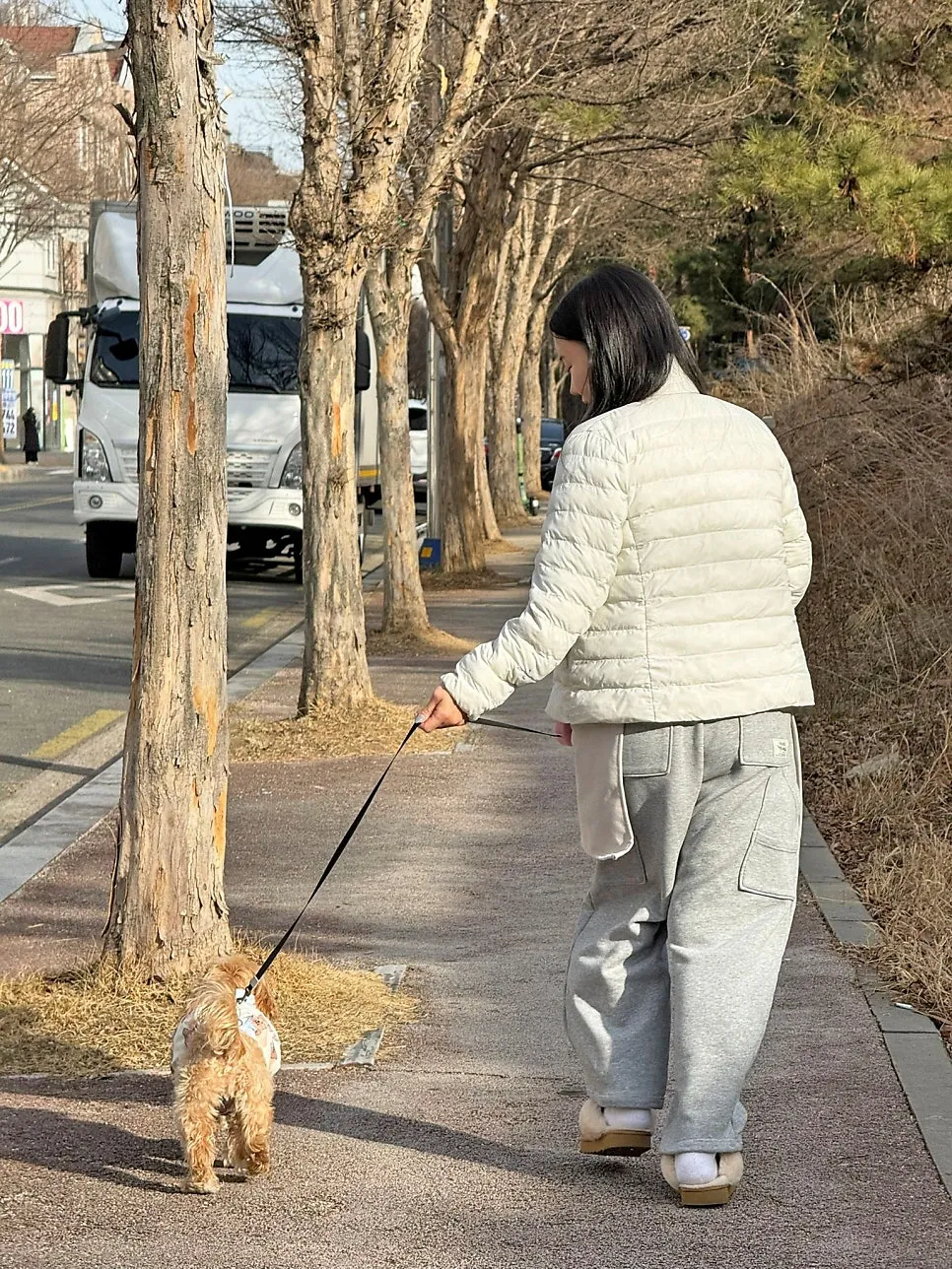 전주애견호텔 오션독스, 소규모 케어로 안심 맡기기 — 사진 19