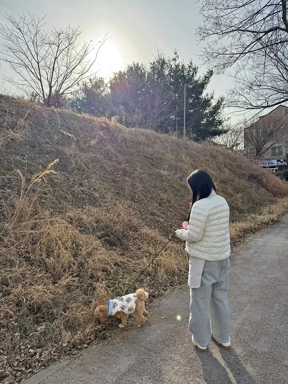 전주애견호텔 오션독스, 소규모 케어로 안심 맡기기 — 사진 20