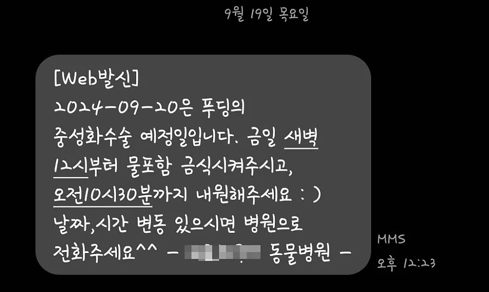 미니 비숑 중성화 수술 후기 및 비용: 5개월 수컷 강아지 7일간의 기록 — 사진 5
