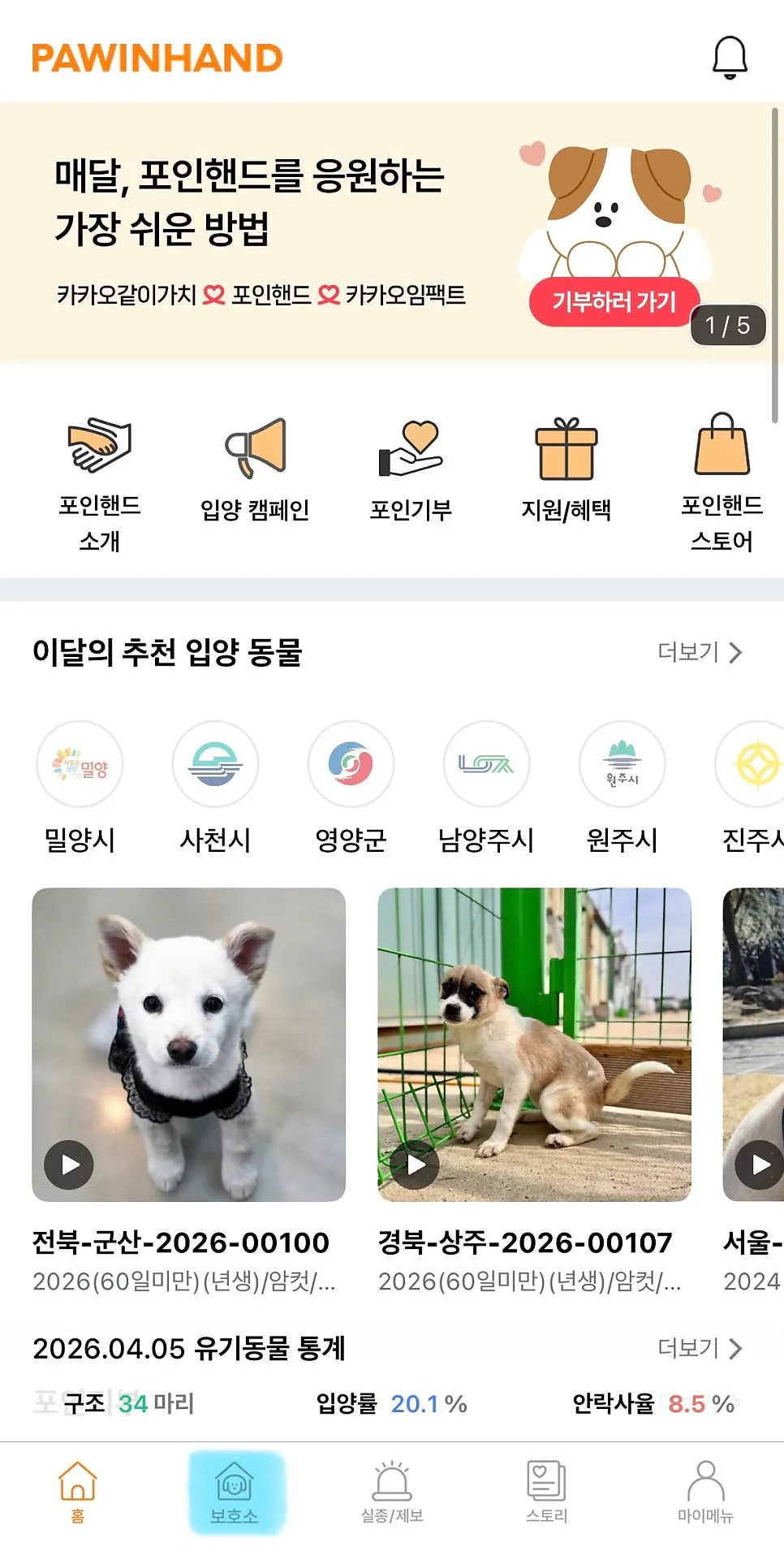포인핸드 유기견 입양 절차 및 후기: 안락사 예정 아이 구하기 — 사진 2