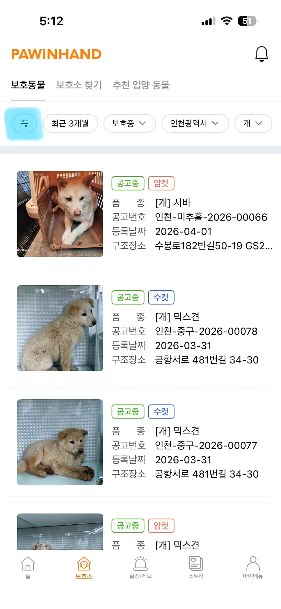 포인핸드 유기견 입양 절차 및 후기: 안락사 예정 아이 구하기 — 사진 3