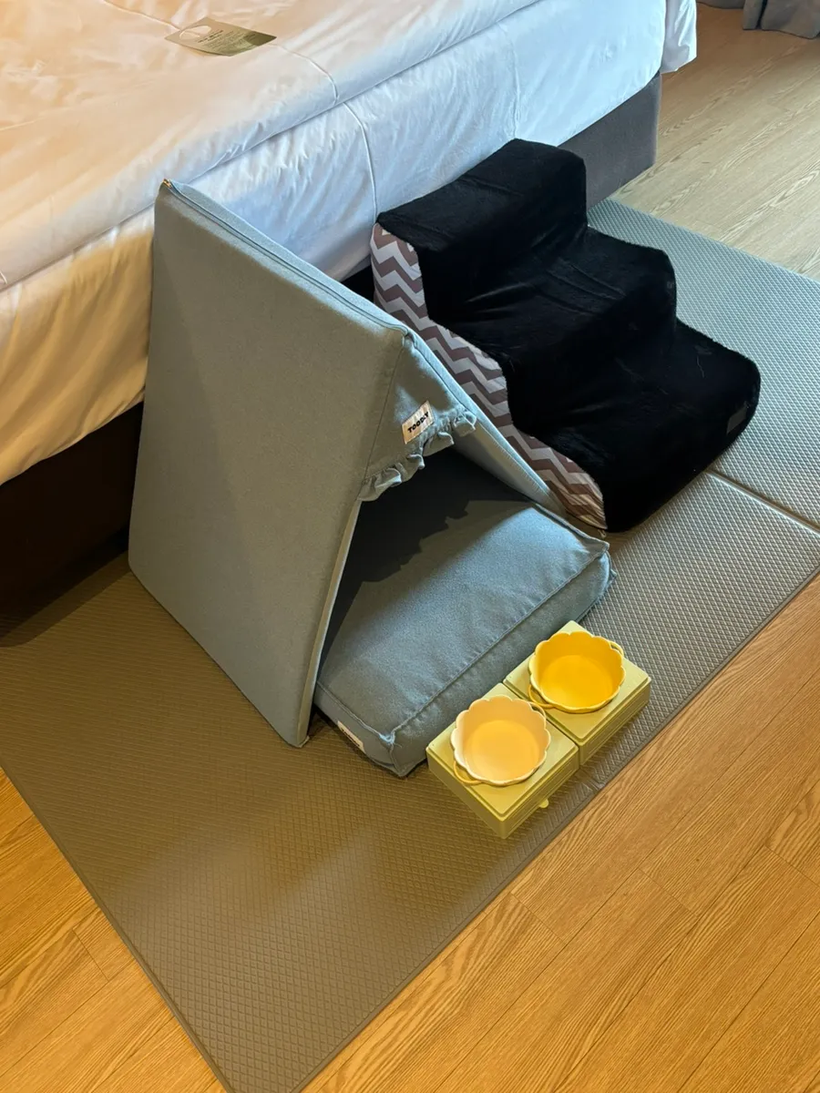 강릉 애견동반 호텔, 세인트존스 펫룸 2박 3일 후기 — 사진 7