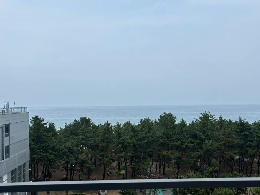 강릉 애견동반 호텔, 세인트존스 펫룸 2박 3일 후기 — 사진 10