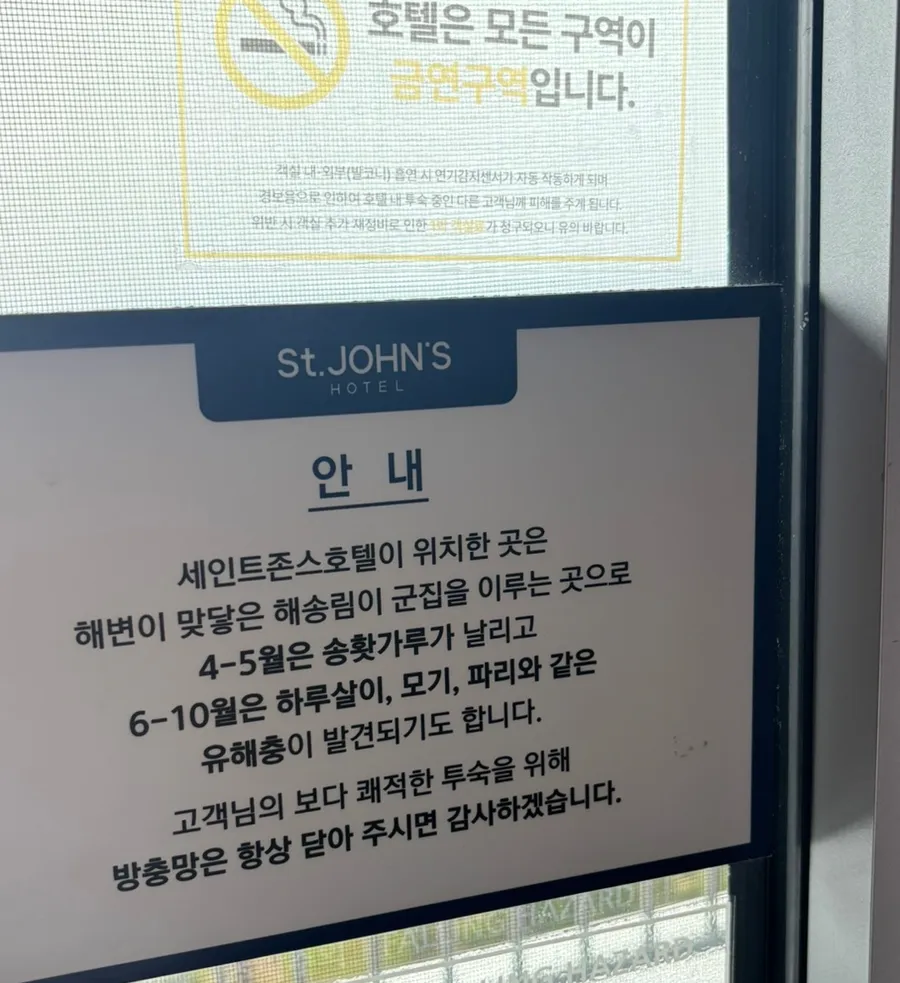 강릉 애견동반 호텔, 세인트존스 펫룸 2박 3일 후기 — 사진 12