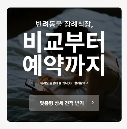 반려동물 장례, 펫나잇 상담으로 편안한 이별 준비