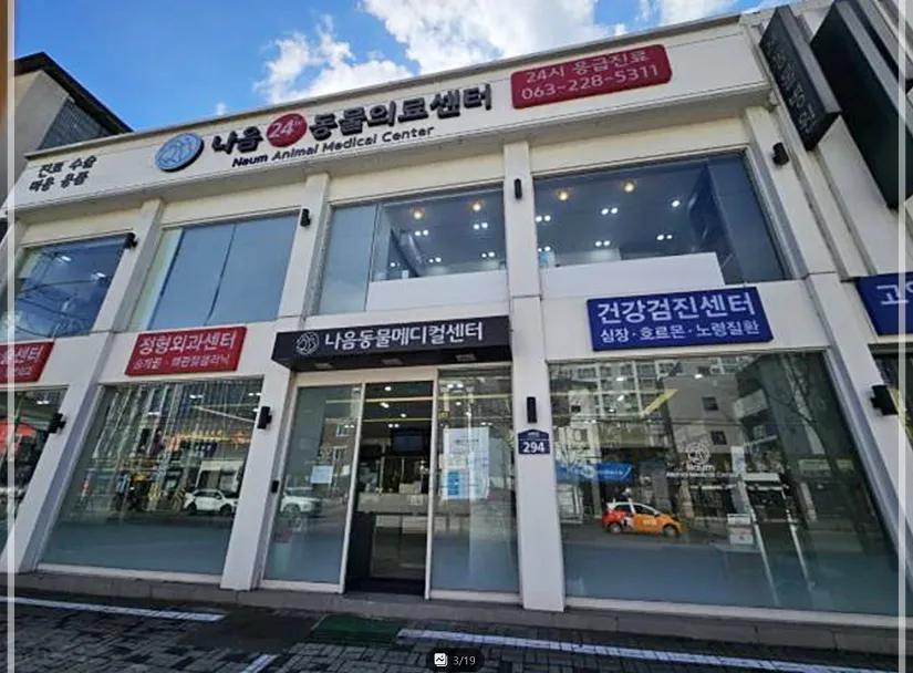 전주 강아지 중성화 수술 비용 및 후기: 나음동물병원