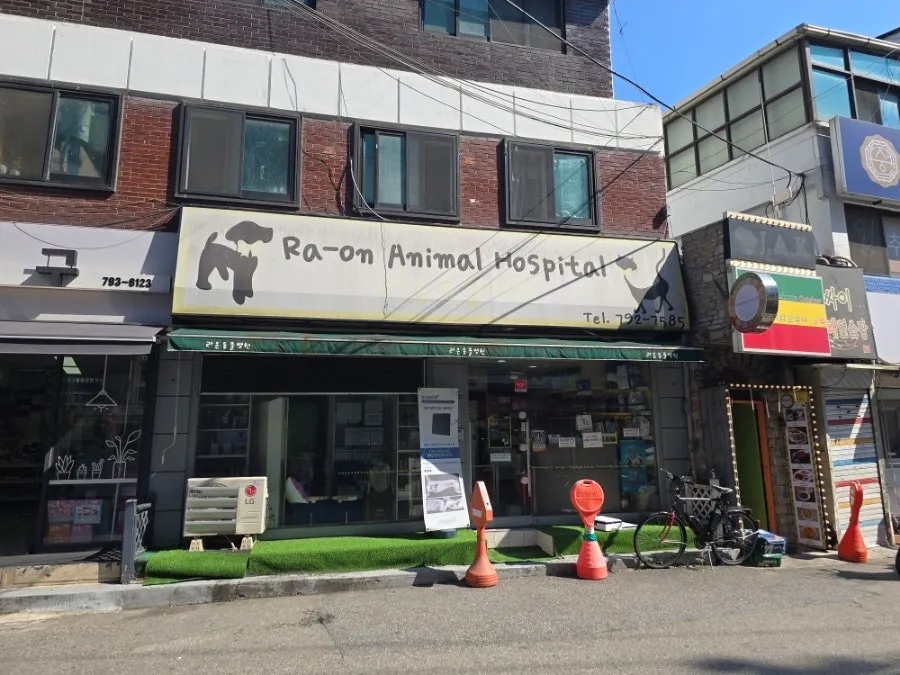 이태원 강아지 건강검진 비용 및 후기 (라온동물병원) — 사진 4