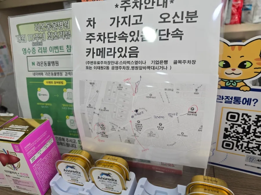 이태원 강아지 건강검진 비용 및 후기 (라온동물병원) — 사진 5