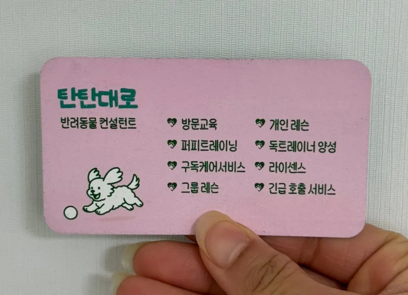 동대문 강아지 방문훈련: 분리불안·짖음 교정 후기 — 사진 2