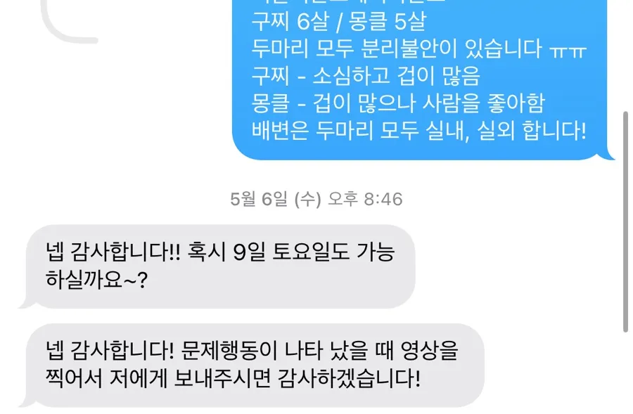 동대문 강아지 방문훈련: 분리불안·짖음 교정 후기 — 사진 3
